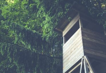 Tree House for Kids: 8 Free Tree House Plans and Essential Building Tips