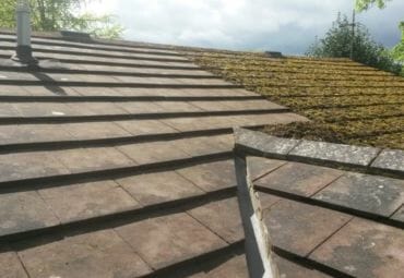 Roof Moss Removal: Everything You Need To Know